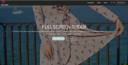 Webshop